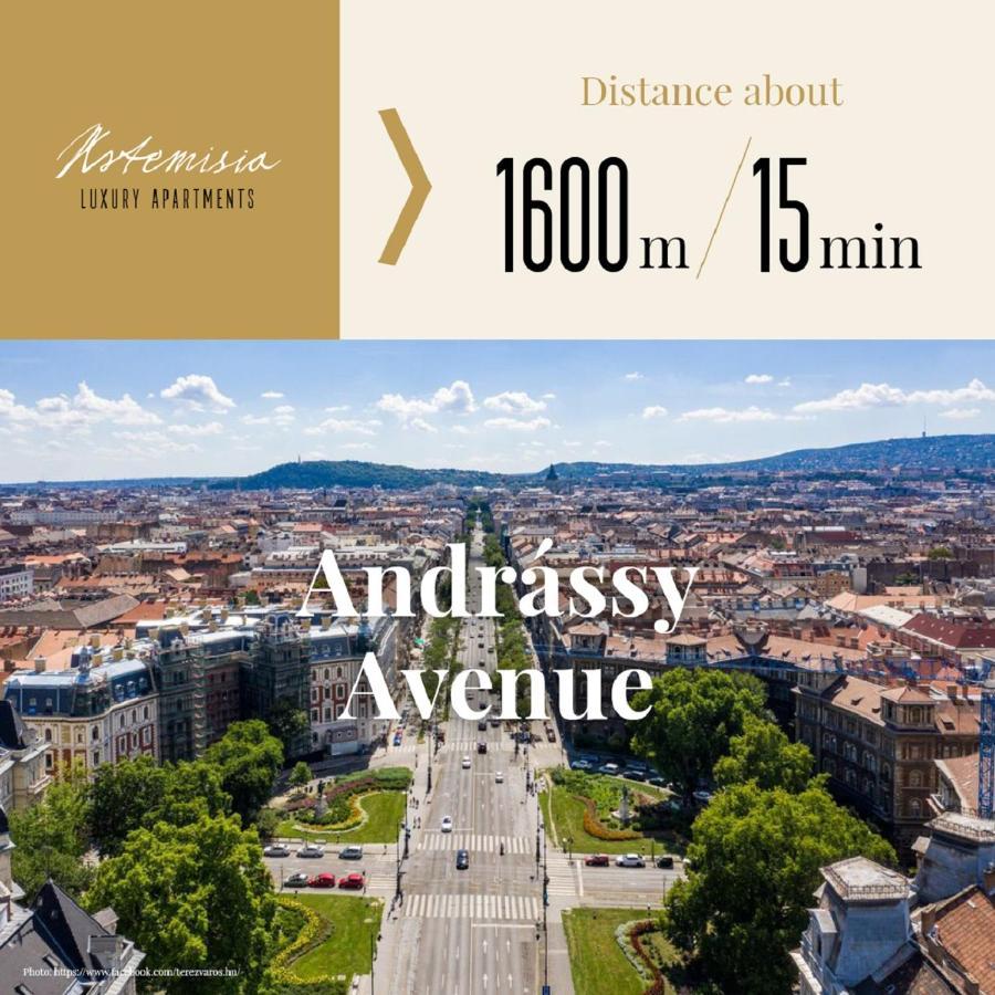 Artemisia Luxury Apartments Skyflat Budapest Bagian luar foto